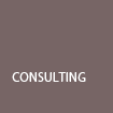 Consulting