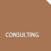 Consulting